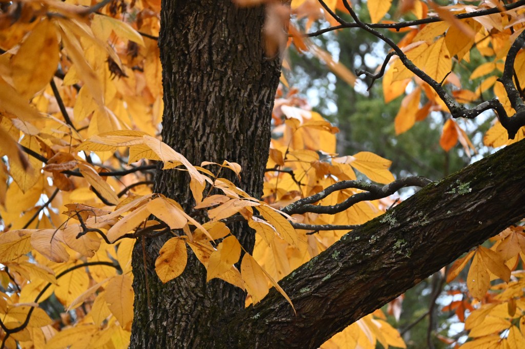 God Never Gives Up On His Mission